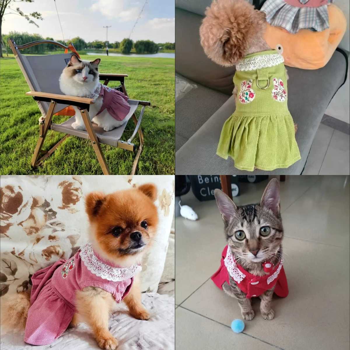 Spring Summer Pet Dog Dress Cat Princess Cute Dress Small Dog Cat Wedding Fashion Skirt Puppy Clothes Chihuahua Pet Costume M251208