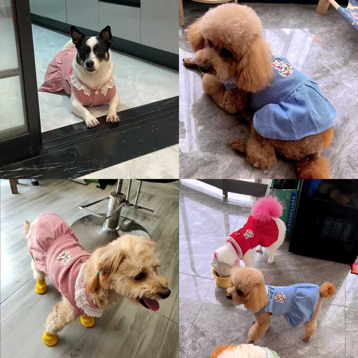 Spring Summer Pet Dog Dress Cat Princess Cute Dress Small Dog Cat Wedding Fashion Skirt Puppy Clothes Chihuahua Pet Costume M251208