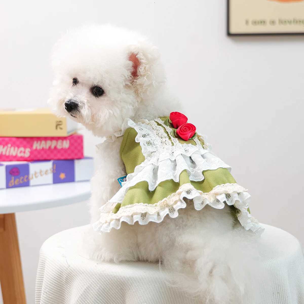 Pet Cat Dog Clothes Early Autumn Princess Style Green with Rose Flower Accessories Dress Suspender Skirt M251208