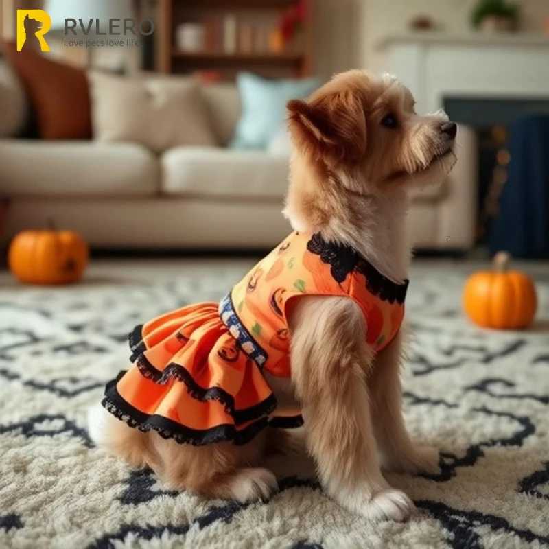 Popular Halloween Pet Supplies Dog Clothes Costumes Pumpkin Skirts and Small Dog Lace Skirt Dog Dress White Girl Dog Clothes M251208