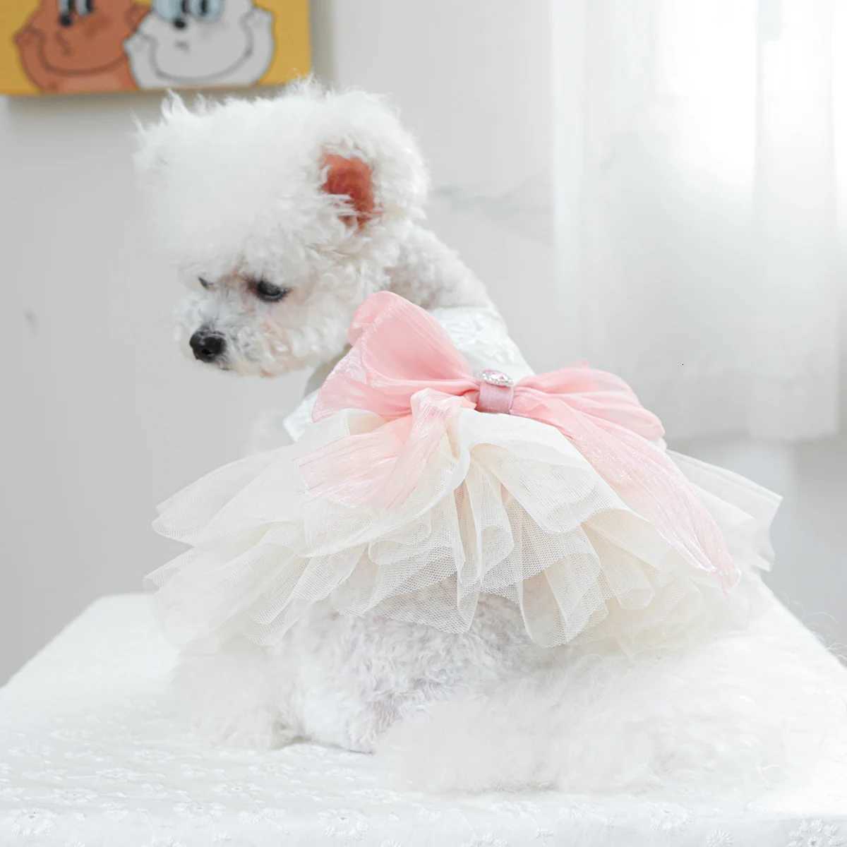 1PC Pet Clothing Cat Spring/Summer Thin White Micro Wedding Dress Princess Dress Suitable for Small and Medium Dogs M251208