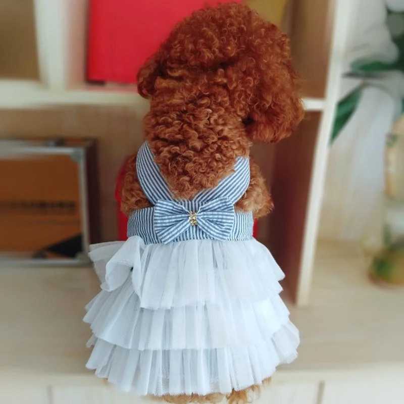 Dog Summer Dress Cat Lace Skirt Pet Clothing Chihuahua Stripe Skirt Puppy Cat Princess Apparel Cute Puppy Clothe Dog Accessories M251208