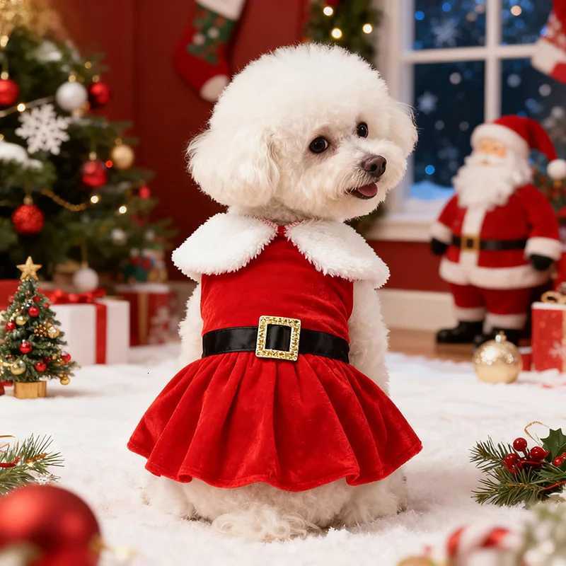 Pet Clothing Christmas Santa Classic Style Dog Christmas Dress New Year Festival Factory Gold Velvet Princess M251208