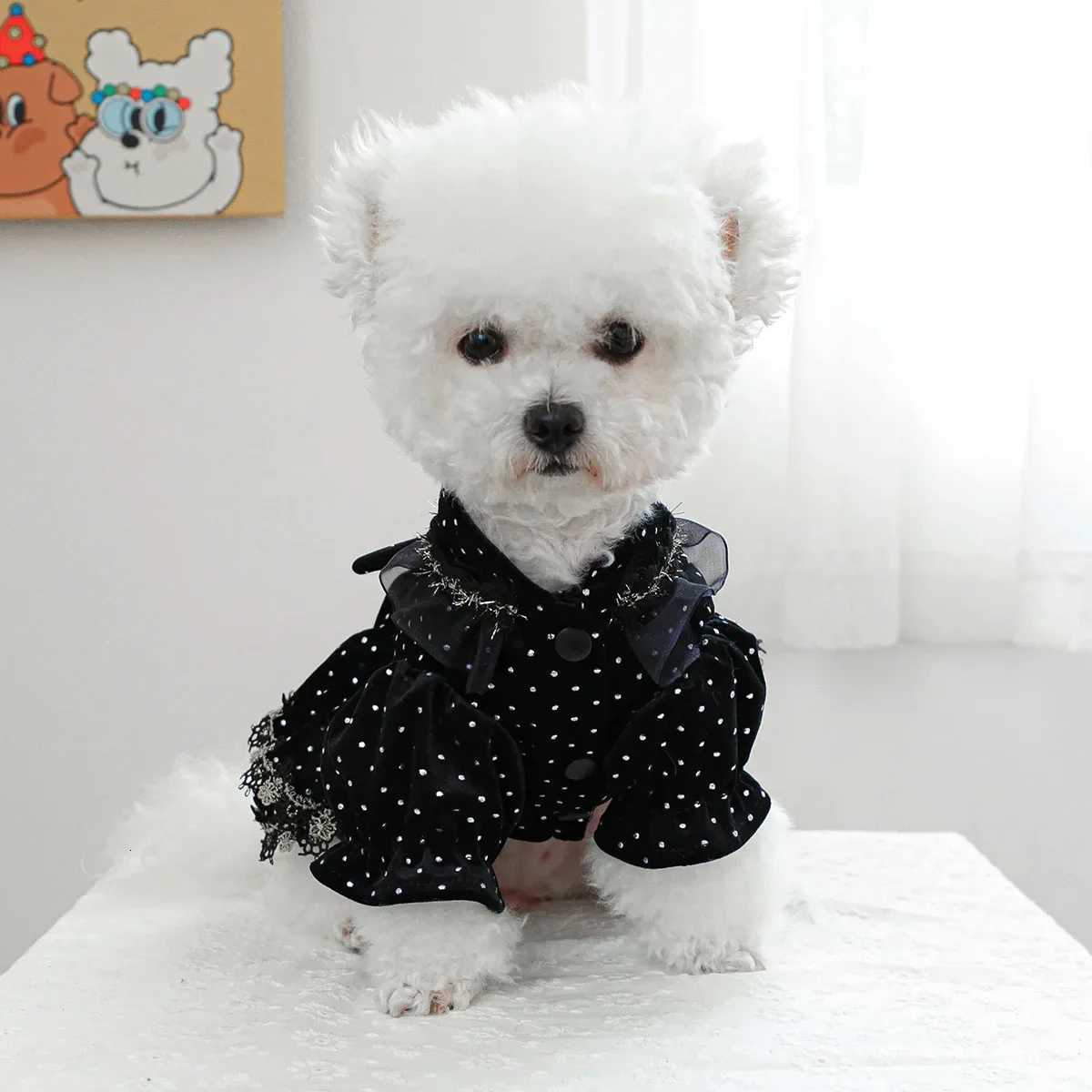 1PC Pet Clothing Spring and Autumn Black Gold Dress Wedding Princess Dress Suitable for Small and Medium sized Dogs M251208