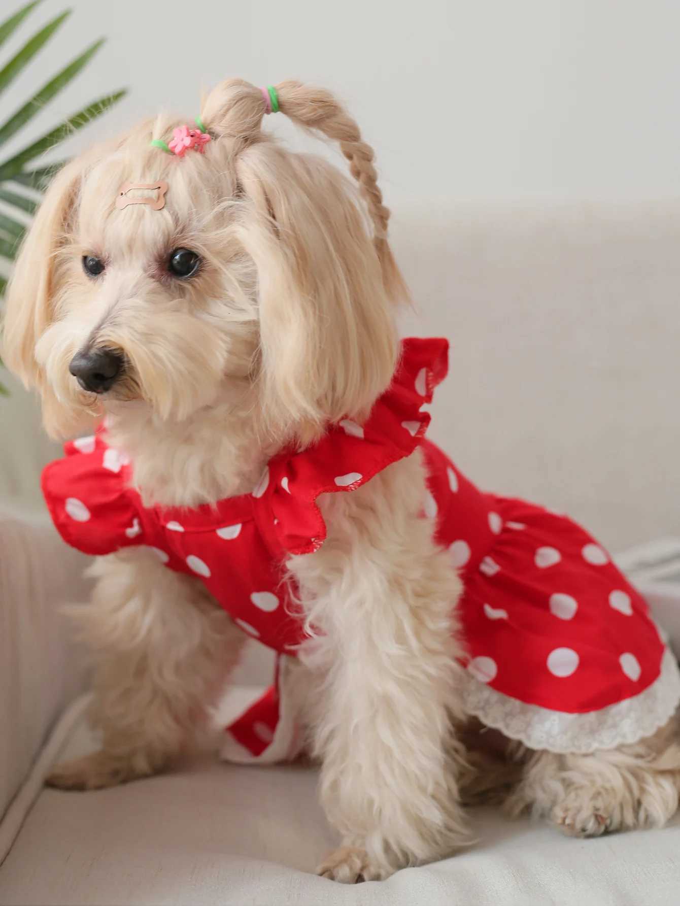239Red French Polka Dot Romantic Short-Sleeved Lace Trim Dress M251208
