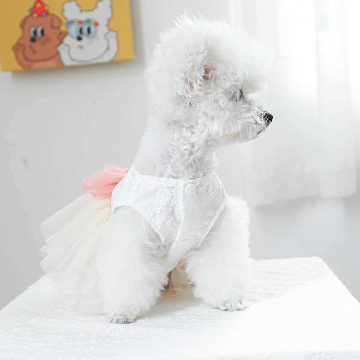 1PC Pet Clothing Cat Spring/Summer Thin White Micro Wedding Dress Princess Dress Suitable for Small and Medium Dogs M251208