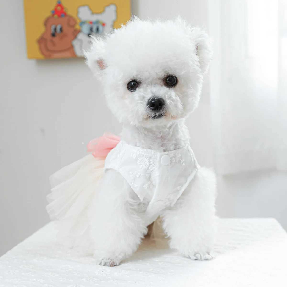 1PC Pet Clothing Cat Spring/Summer Thin White Micro Wedding Dress Princess Dress Suitable for Small and Medium Dogs M251208