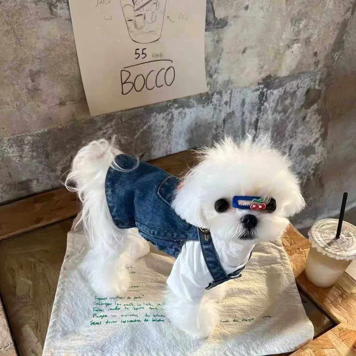 Dog Denim Strap Skirt Spring Autumn Dog Slip Dress Pet Cat Denim Skirt Tedby Denim Skirt Bear Small Dog Clothes Puppy Dog Dress M251208