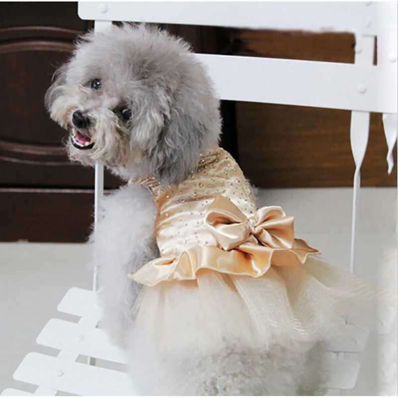 Summer Pet Clothes Dog Dress For Dogs Skirt Summer Princess Dog Wedding Dresses York Teddy Clothes For Dogs Skirts Pet Cat Dress M251208