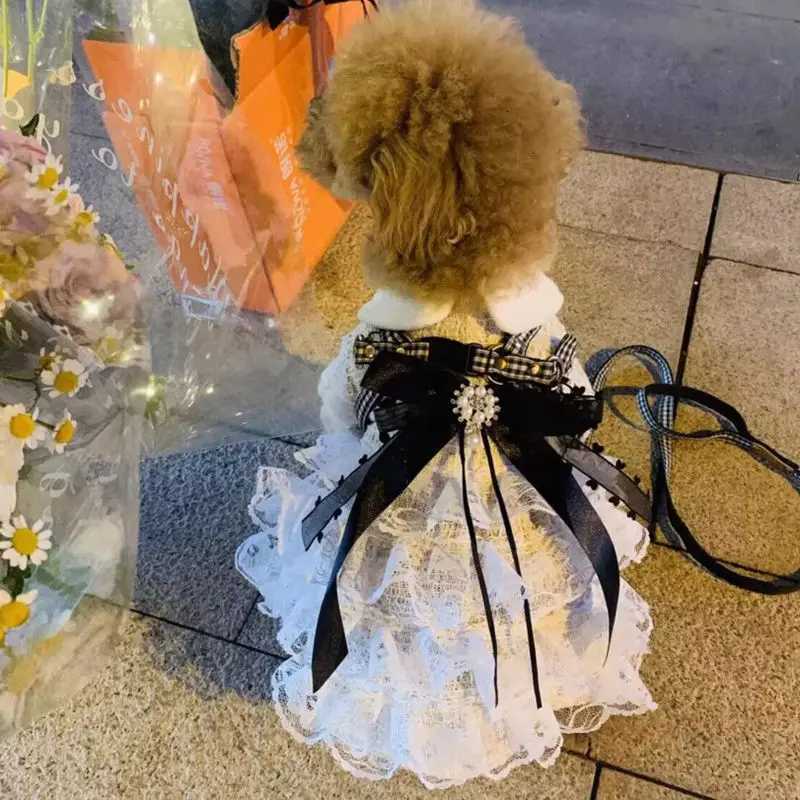 Pet Dog Dress Sweet Dog Princess Skirt Small Dog Cat Fashion Lace Shirt Skirt Spring Autumn Designer Clothes Poodle YorkiClothes M251208