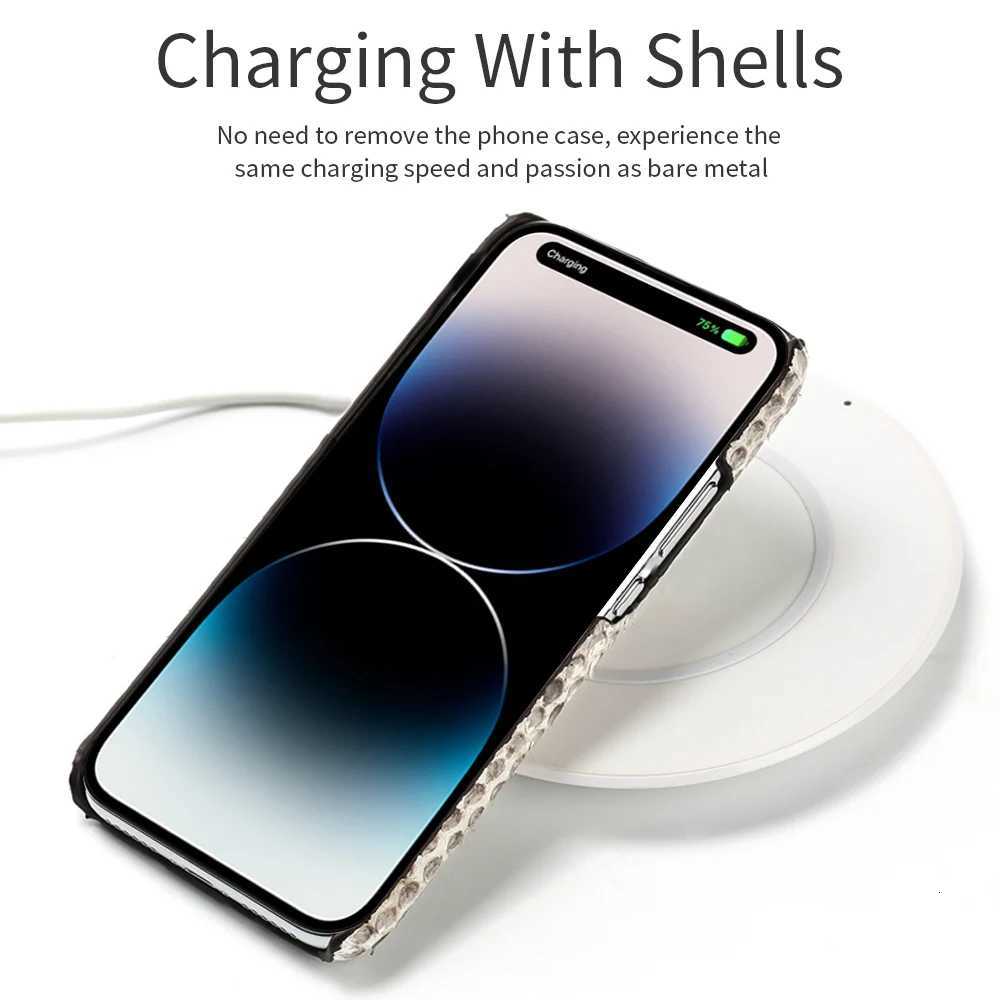 LANGSIDI 100 Genuine Python Leather Phone Case For iPhone 17 Air 16 11 12 13 14 15 Pro Max 17Pro 16Pro Luxury Back Cover C251209