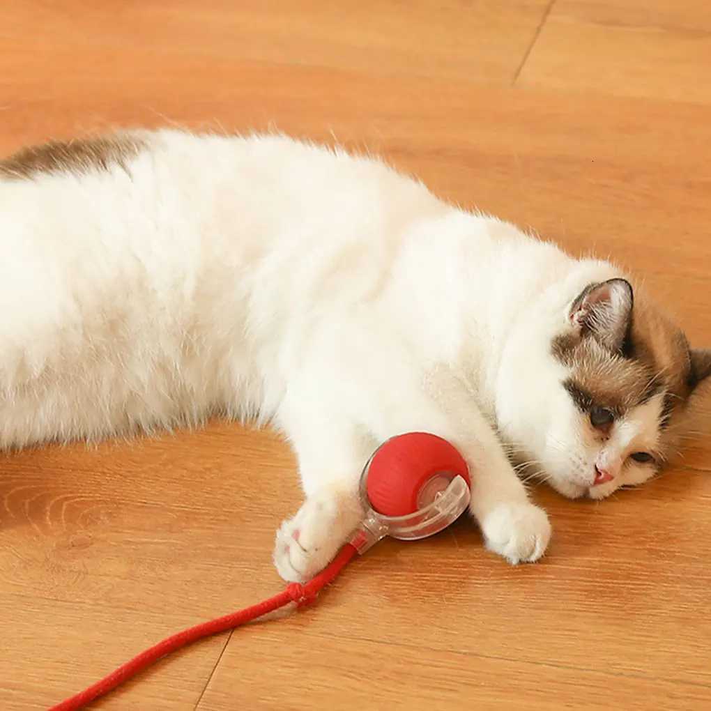 Electric Automatic Rolling Cat Ball - Smart Sensor Rechargeable Interactive Toy with Teaser Bird Cat Toy for Cats M251209