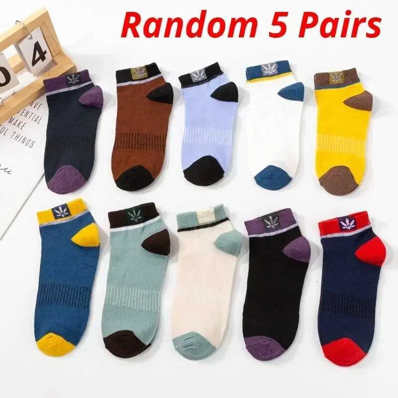 5 pairs of handsome boy color matching mens breathable sports socks maple leaf mens ankle socksT251209