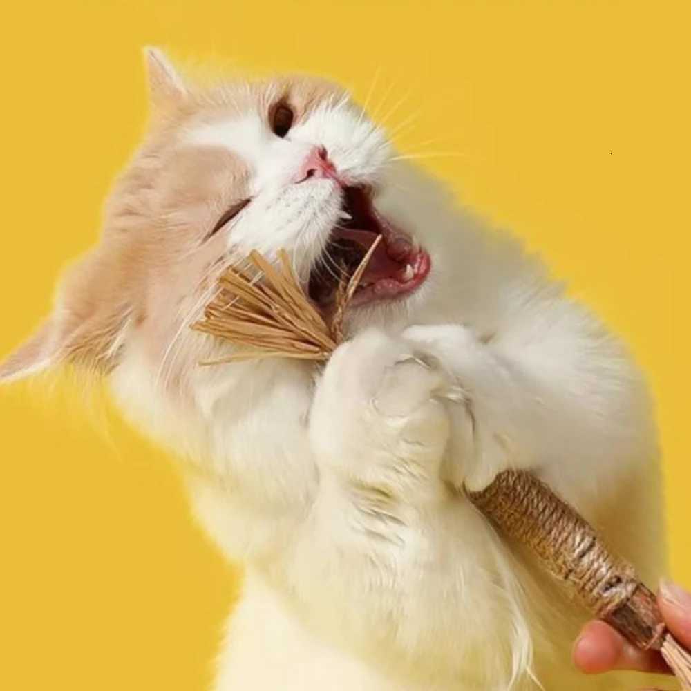 1pc Natural Wooden Cat Chew Stick Training Toy for Cats Kitty Teeth Cleaning Grinding Teaser Scrapers Pet Supplies 21cm M251209