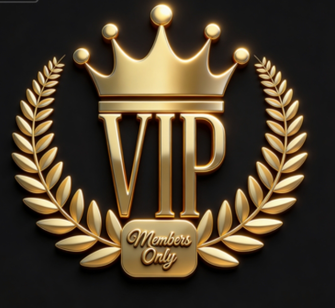 ZZ-YJS VIP Exclusive Payment Portal Orders Balance Top-Up & Express Shipping Not speedy shipping