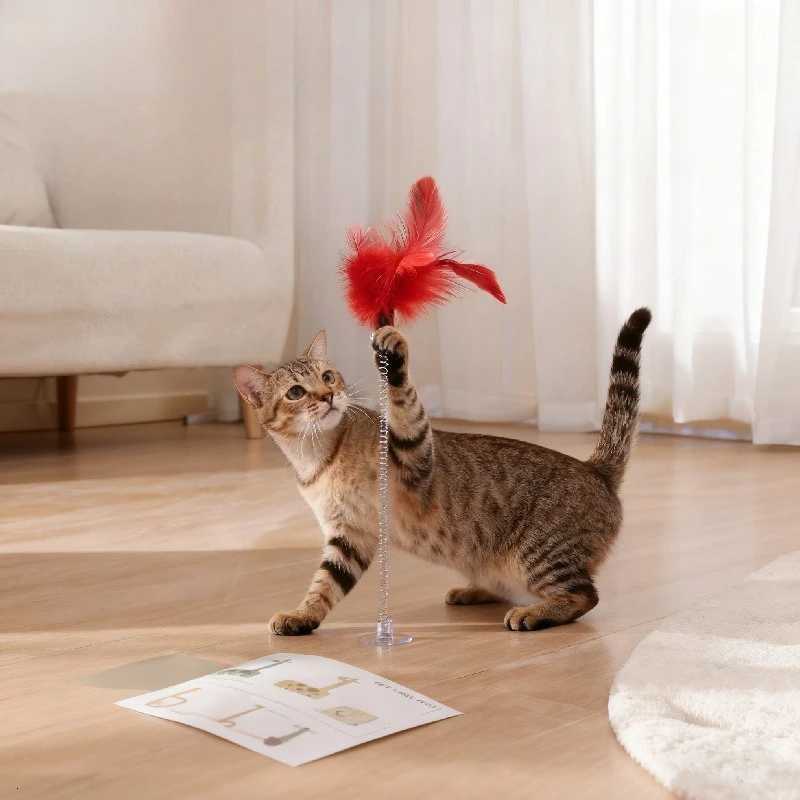 5pcs Cat Teaser Stick Toy Spring Suction Cup Feather Squeaky Interactive Kitten Toy Bite-resistant Training Cat Toy Supplies M251209