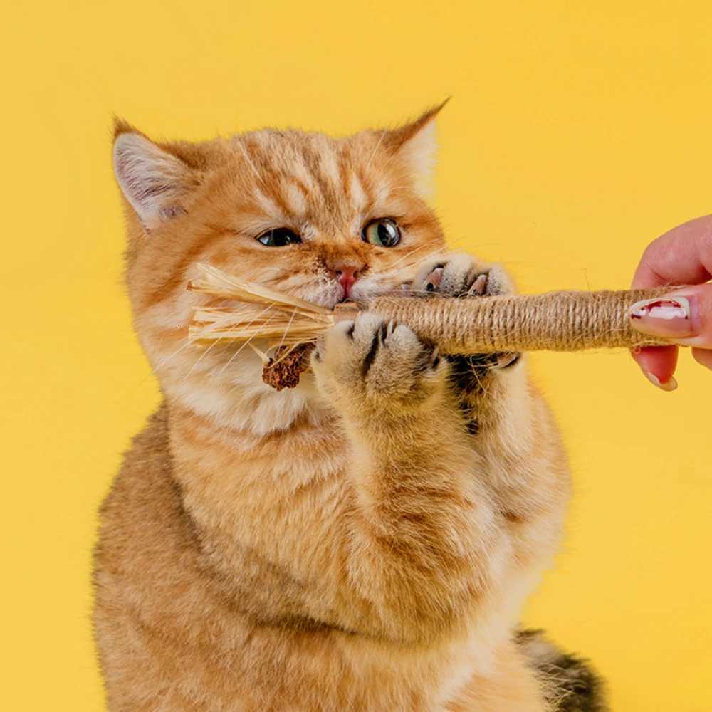 1pc Natural Wooden Cat Chew Stick Training Toy for Cats Kitty Teeth Cleaning Grinding Teaser Scrapers Pet Supplies 21cm M251209
