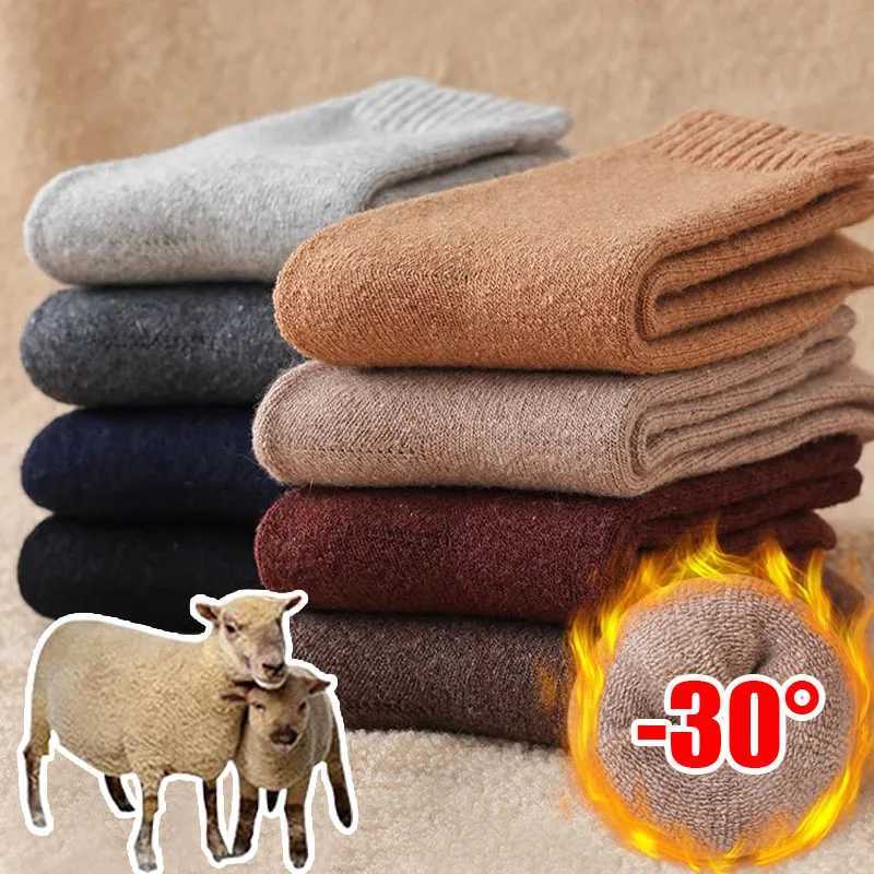 2024 New Winter Sup… - image