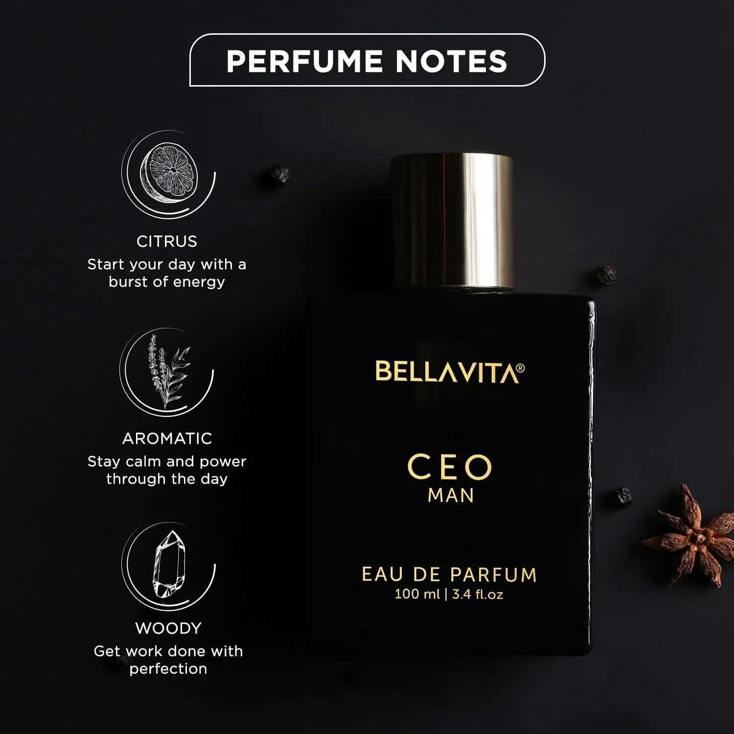 BellaVita-Long-Lasting Mens Perfume with Lemon Lavender Tonka Vetiver and Moss Fr Luxury CEO Man 338 flozT251209