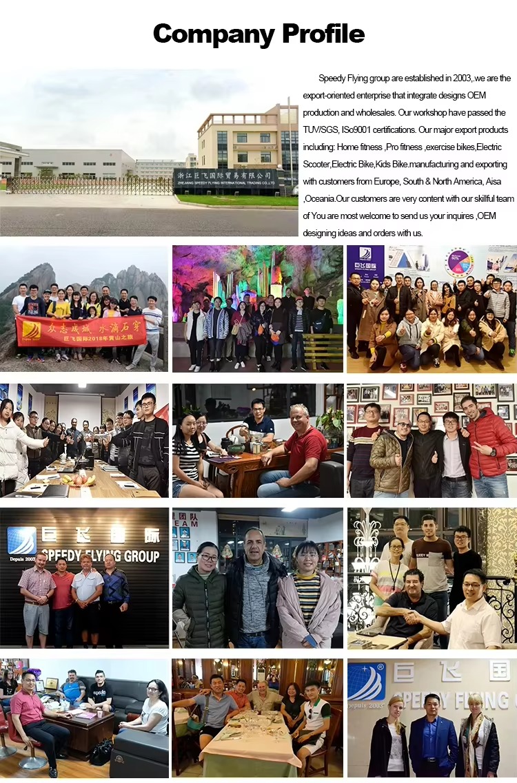 For Falcon GT Mineral 120KM Disc Brakes System Electric Dirt Bike 16.8KW Powerful Brushless 610N.m Torque 95km/h Speed 72V electric motorcycles