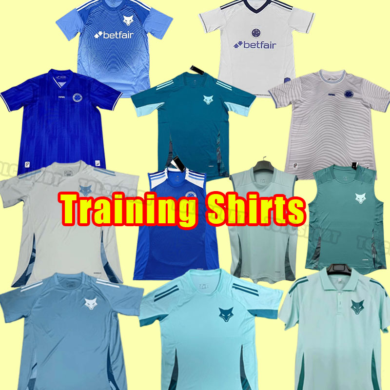2025 2026 camisa Cruzeiro soccer jerseys 100th anniversary football shirts 25/26 POTTKER DEDE R.SOBIS Camiseta de Raposas men football shirt training polo vest gk