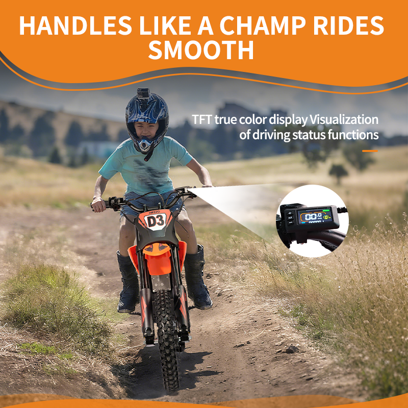 HEZZO D3PRO 60V 6000W Middrive Ebike 250Nm Powerful Adult Electric Dirt Bike 47Mph 30Ah Long Range 17Inch CST Enduro Electric Motorcycle