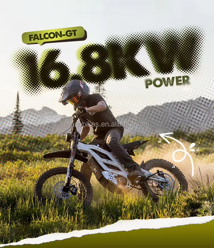 For Falcon GT Mineral 120KM Disc Brakes System Electric Dirt Bike 16.8KW Powerful Brushless 610N.m Torque 95km/h Speed 72V electric motorcycles