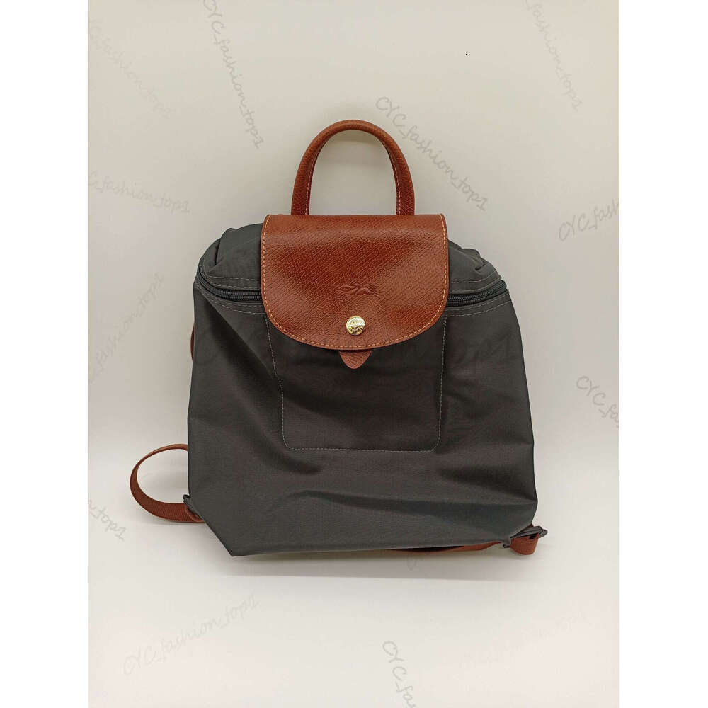 Longlies Dumpling Champly Bag Designer Bag Shoulder Bag Handbag No Punching Versatile Mobile Phone Bag Lngchamp Nylon Designer Luxury Sac Luxe Longity Champity 941