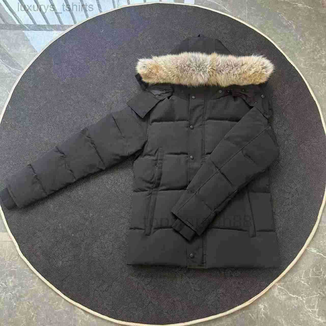 Men Jackets Down Wi… - image