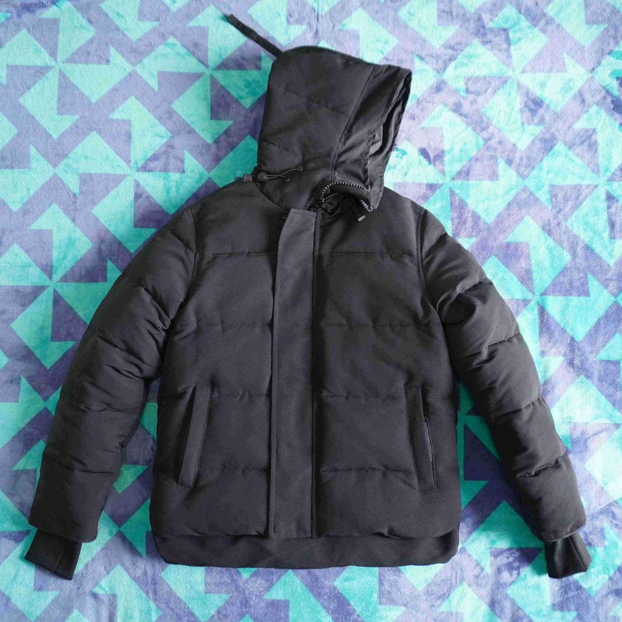 Mens Down Jacket Wi… - image