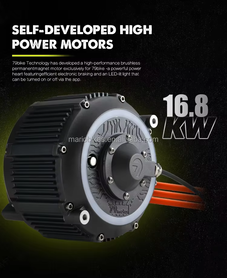 For Falcon GT Mineral 120KM Disc Brakes System Electric Dirt Bike 16.8KW Powerful Brushless 610N.m Torque 95km/h Speed 72V electric motorcycles