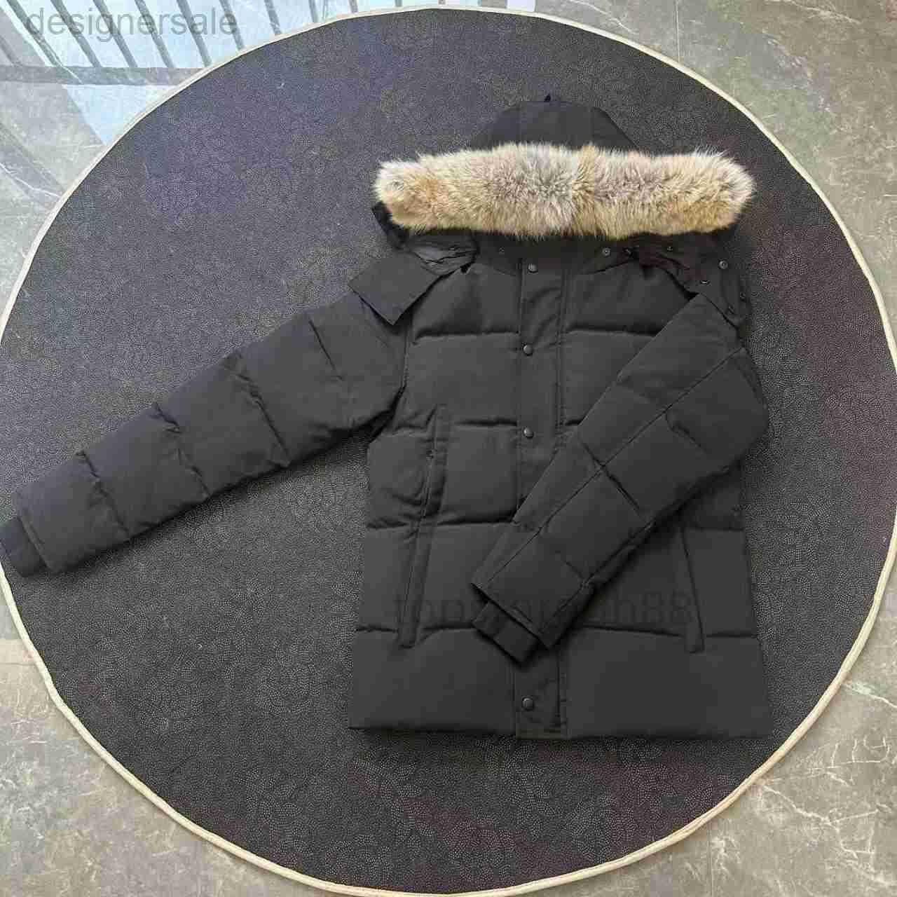 Men Jackets Down Wi… - image