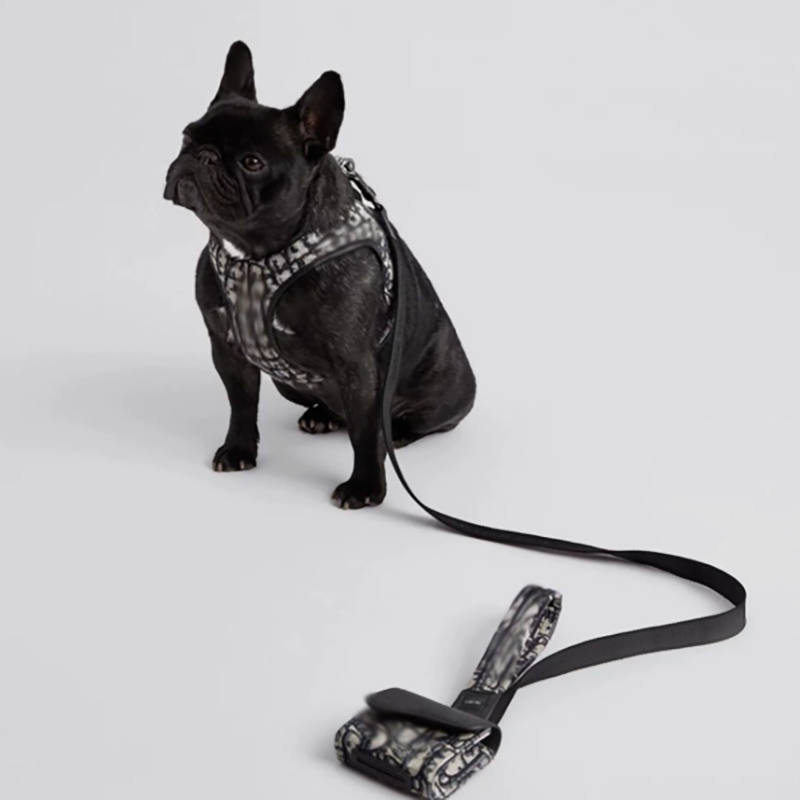 Old flower leather pet collar Teddy Schnauzer dog walking strong neck trendy brand printed collar suitable for small and medium dogs