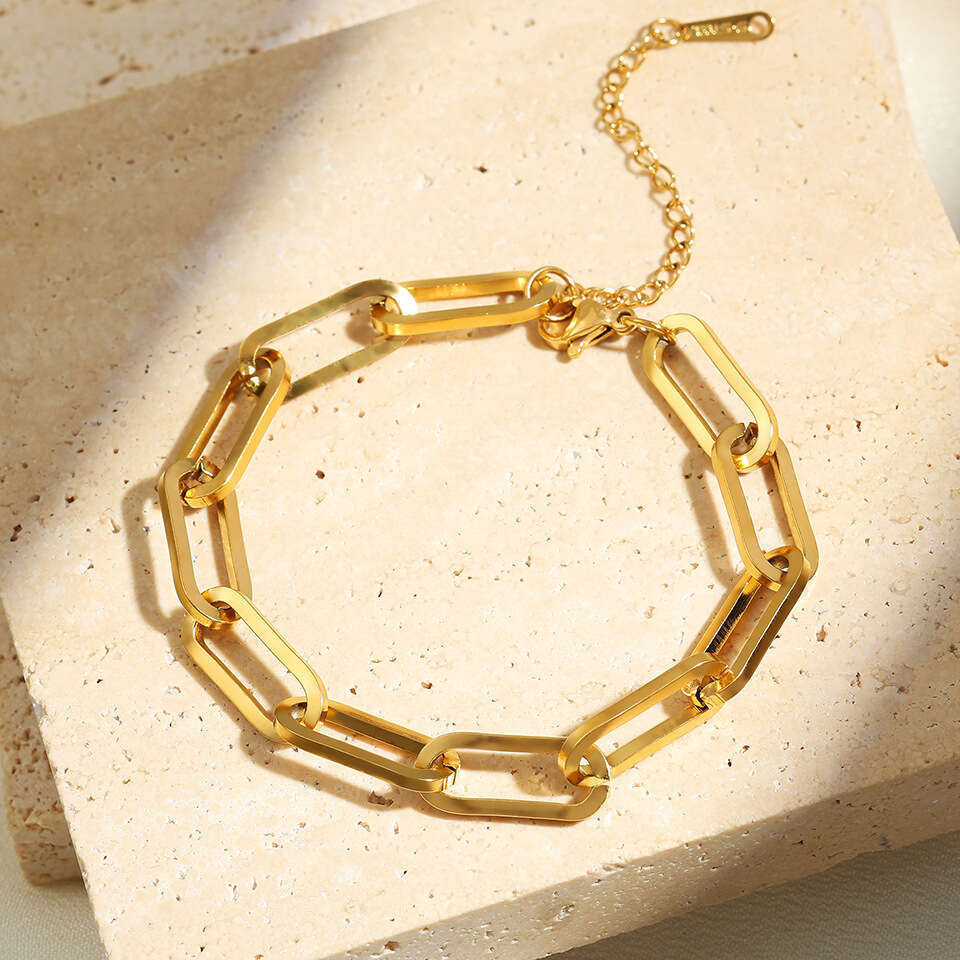 Bracelet for Women Designer Luxury 2026 New Fashion Thick Chain Titanium Steel Bracelet Women Niche Exquisite High-end Accessories Jewelry
