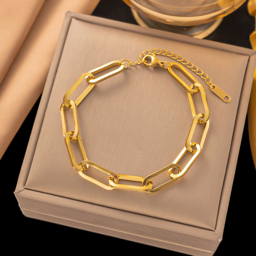 Bracelet for Women Designer Luxury 2026 New Fashion Thick Chain Titanium Steel Bracelet Women Niche Exquisite High-end Accessories Jewelry