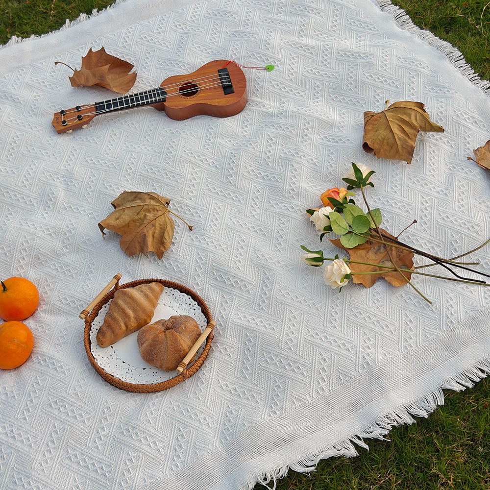 Spring Camping Blan… - image