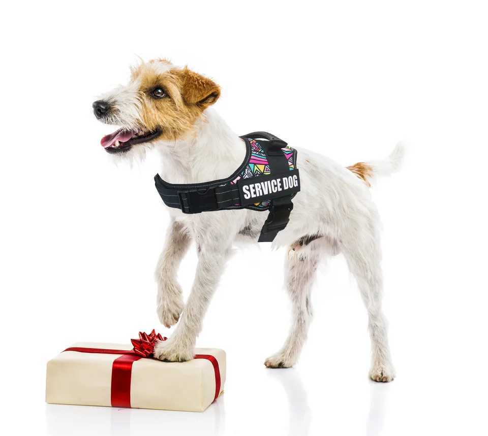 Favorite Pet Dog Harness Service Dog And Emotional Support Harness Vest With Removable Reflective Patches For Large Medium Puppy M251213