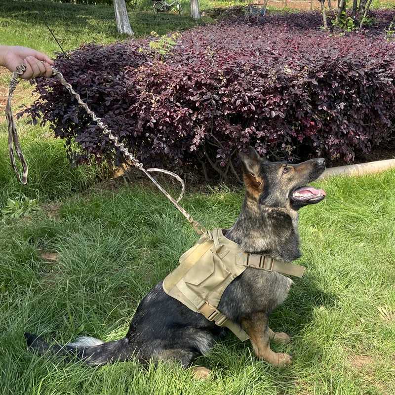 Reflective Large Dog Leash Elastic Tightness Small Cat Harness Set Tactical Vest Double Pet Use Medium Dog Harness Accessories M251213