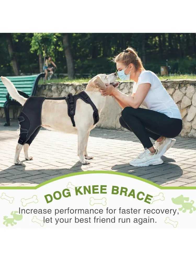 Dog Hip Brace Support for Knee Brace with Traction Rope Adjustable Design For Joints Pain Lick Prevention for Large Dogs M251213