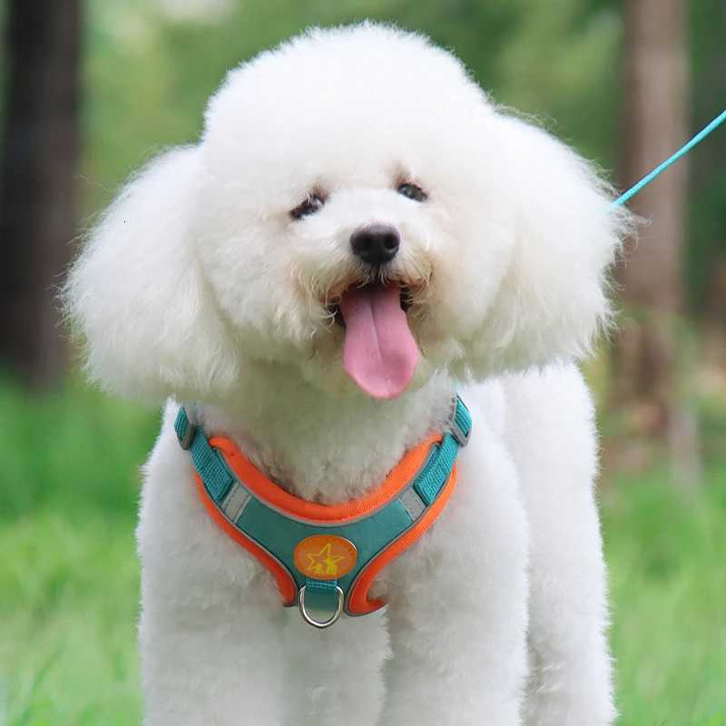 Pet Harness Vest Walking Lead For Puppy Dogs Collar Adjustable Reflective Breathable Harness for Dogs Puppy and Cats M251213