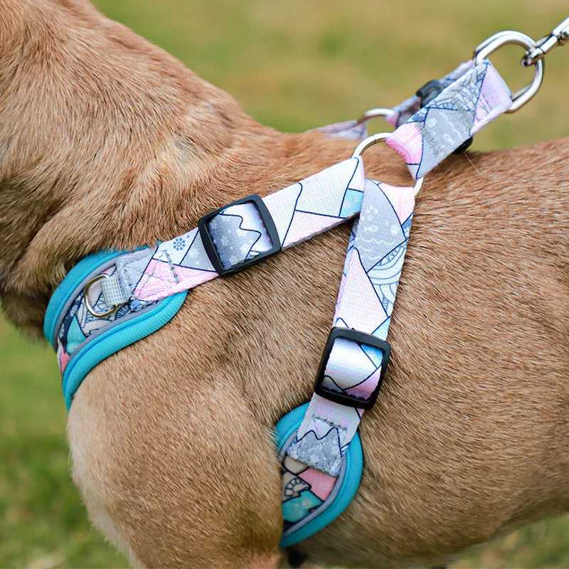 Luxury Pet Vest Harnesses for Small Medium Dogs Adjustable Mesh Puppy Dog Harness and Leash Set Shiba Inu Leads mascotas Chain M251213