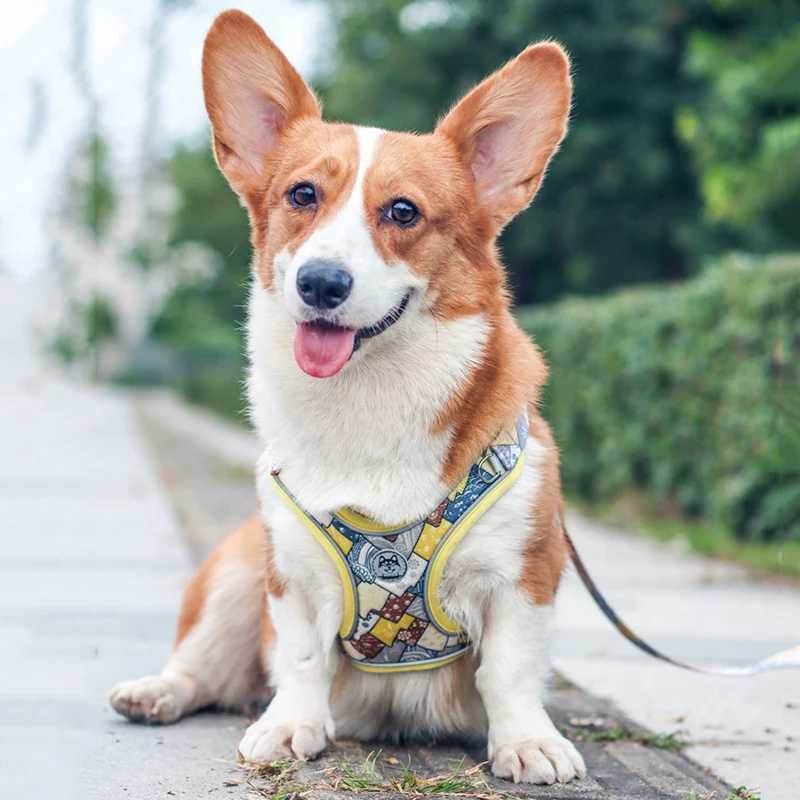 Luxury Pet Vest Harnesses for Small Medium Dogs Adjustable Mesh Puppy Dog Harness and Leash Set Shiba Inu Leads mascotas Chain M251213