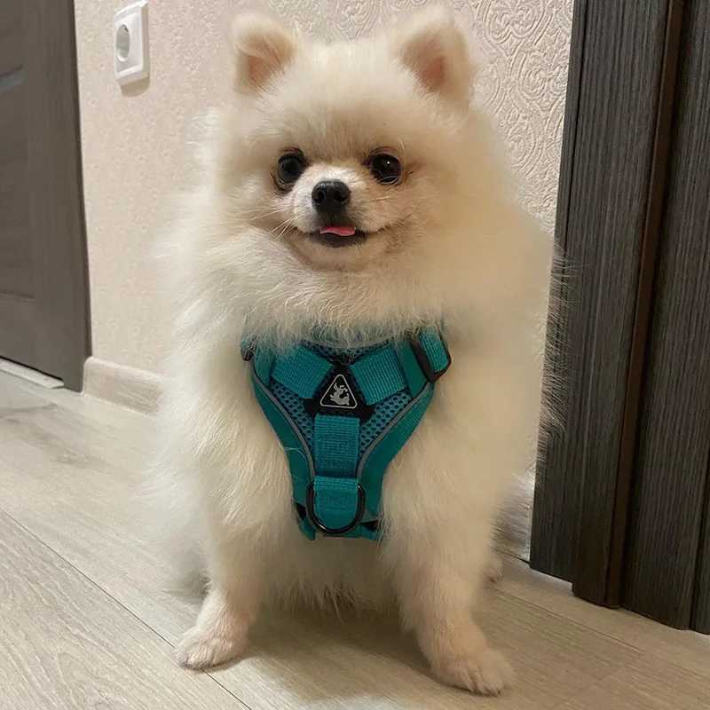 Reflective Pet Dog Harness and Leash Set for Small Medium Dogs mascotas Accessories Yorkies Puppy Cat Vest Harnesses arnes perro M251213