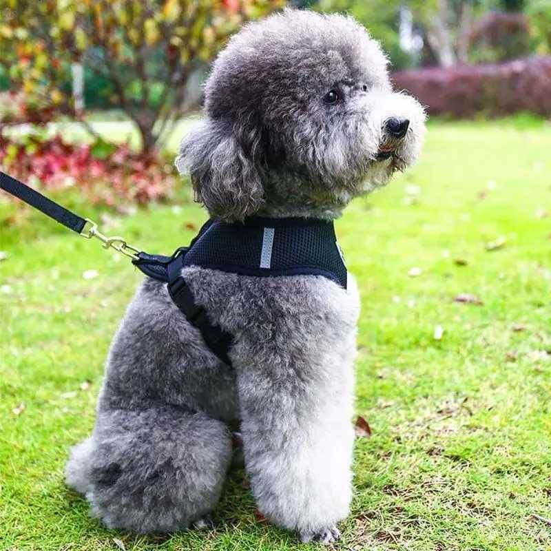 Breathable Mesh Cat Small Dog Harness And Leash Set Adjustable Cat Harnesses Puppy Harness Vest For French Bulldog Chihuahua Pug M251213