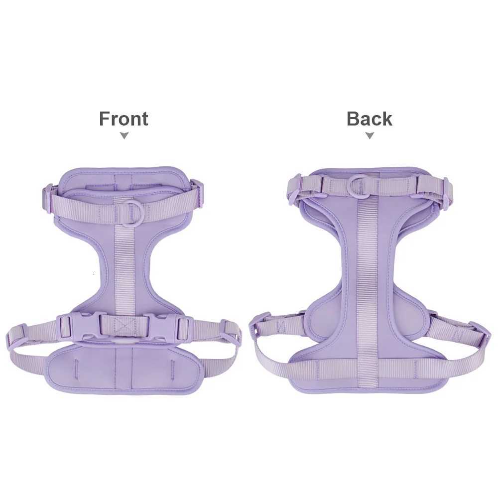 Breathable Lightweight Dog Harness Adjustable Pet Chest Strap Outdoor Walk Training Pet Harenss for Small Medium Dog M251213