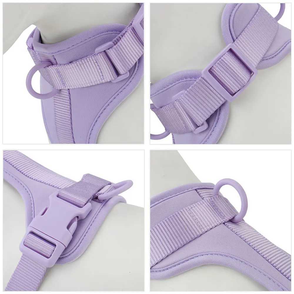 Breathable Lightweight Dog Harness Adjustable Pet Chest Strap Outdoor Walk Training Pet Harenss for Small Medium Dog M251213