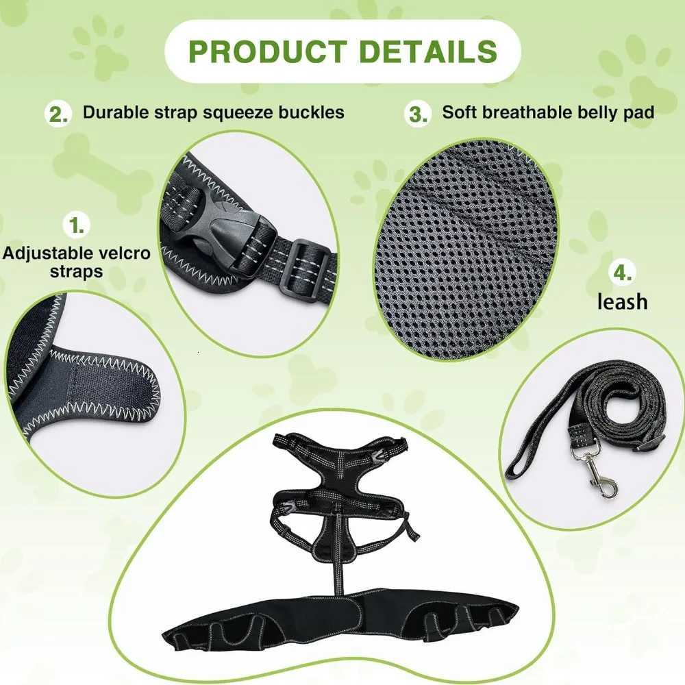 Dog Hip Brace Support for Knee Brace with Traction Rope Adjustable Design For Joints Pain Lick Prevention for Large Dogs M251213