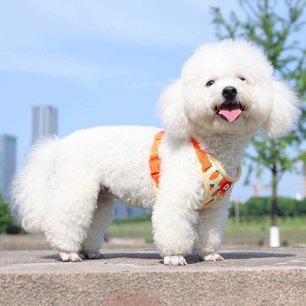 Comfortable Vest Style Dog Harness for Small Breeds - No-Pull Breathable Pet Harness with Leash Adjustable for Bichon Dogs M251213
