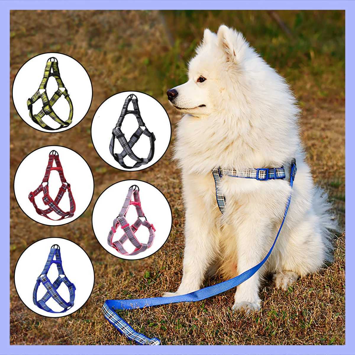 A set of plaid reflective chest and harness set for small and medium-sized dogs to go out for a walk and a lead rope for cats an M251213