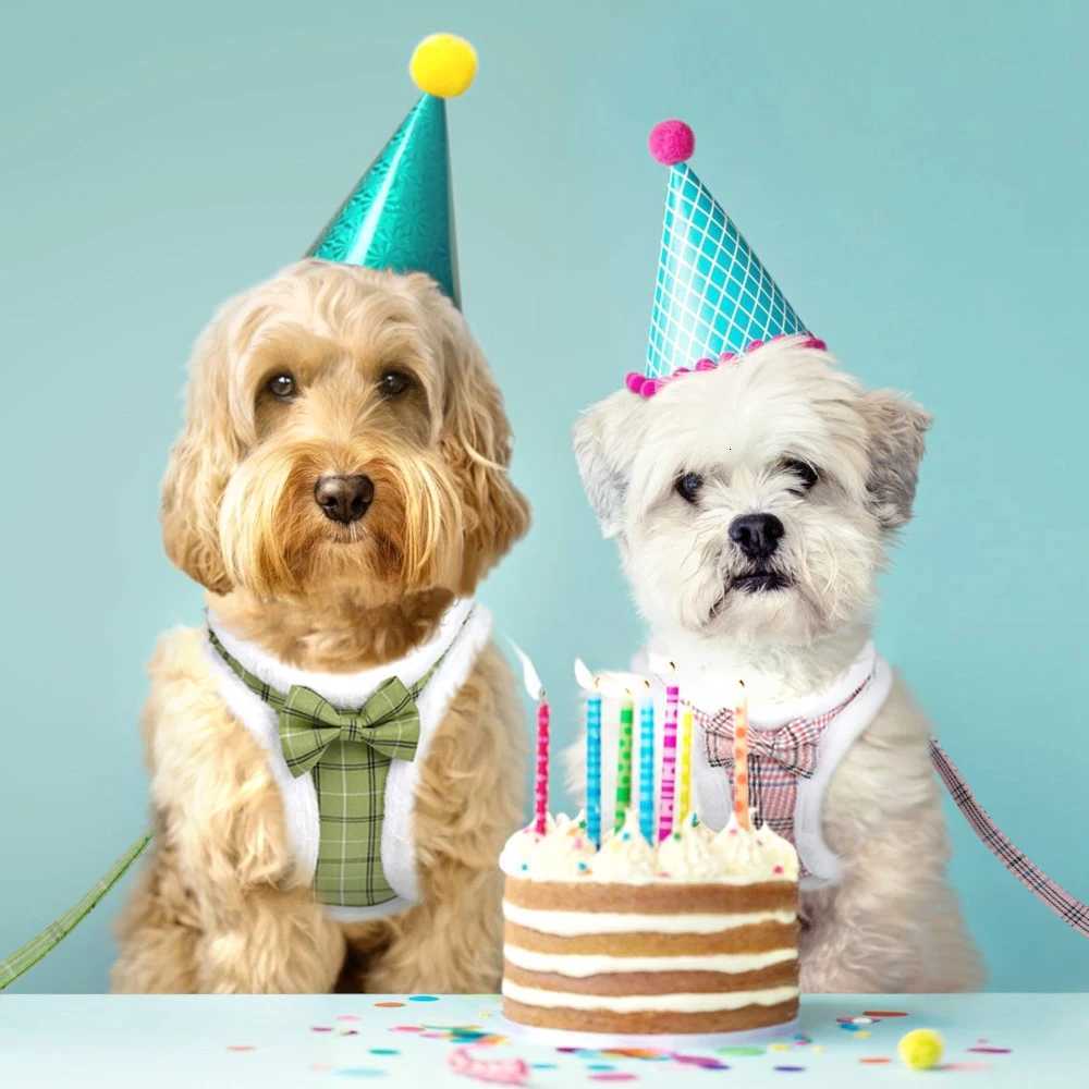 Winter Warm Dog Harness Leash Set Soft Fur Padded Dog Harness Vest No Pull Adjustable Pet Harness With Lead Leash Cute Bowknot M251213